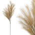 Pampas Artificial Beige 113cm