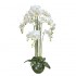 Orhidee Artificiala Alba 118cm