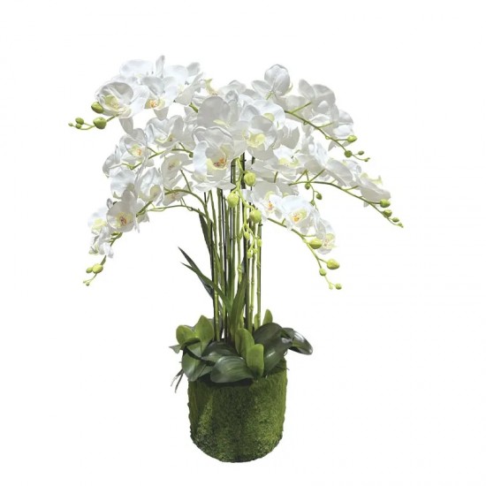 Orhidee Artificiala Alba 80cm Decorațiuni
