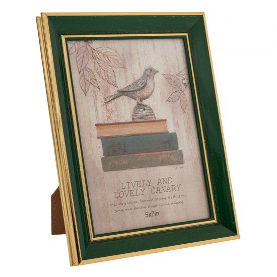 Rama Petrol Gold din Plastic 13x18cm Rame - Albume Foto