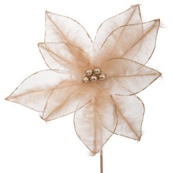 Craciunita Artificiala Champagne D28x40cm