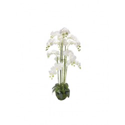Orhidee Artificiala Alba 135cm