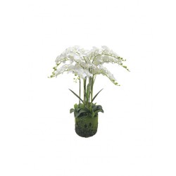 Orhidee Artificiala Alba 80cm